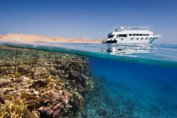 The colors of coral reefs are in contrast with the arid land above the sea